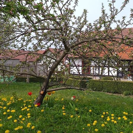 Pension Töpferhof Bad Berka Exterior foto