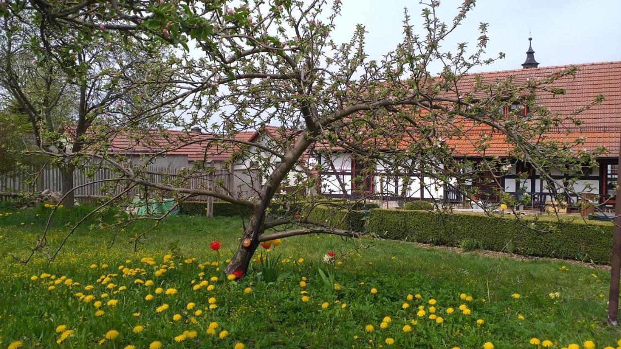 Pension Töpferhof Bad Berka Exterior foto